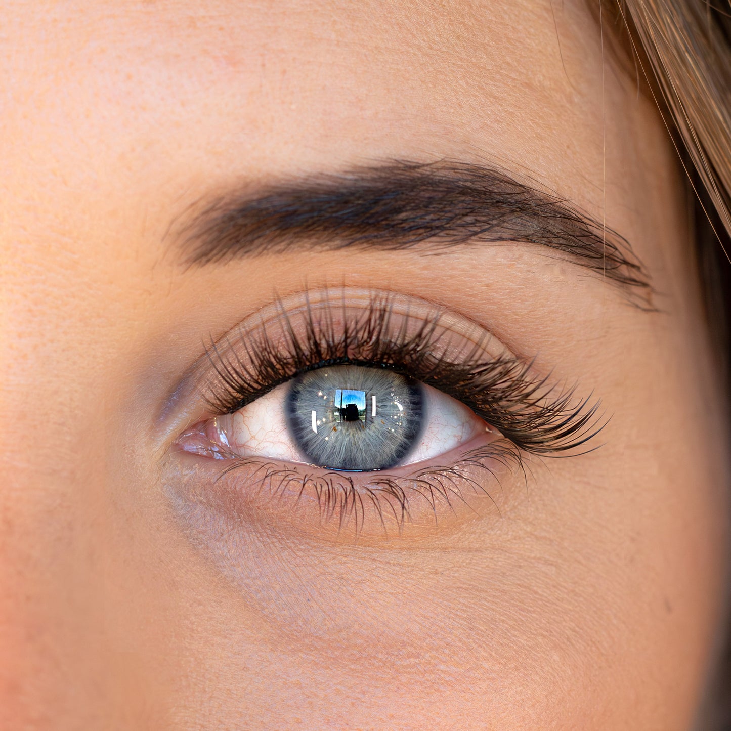 Enkele wimpers (verschillende lengtes) | Licht volume