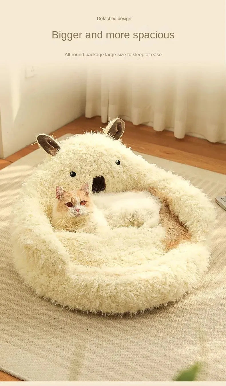 Kattenkussen knuffelbeer