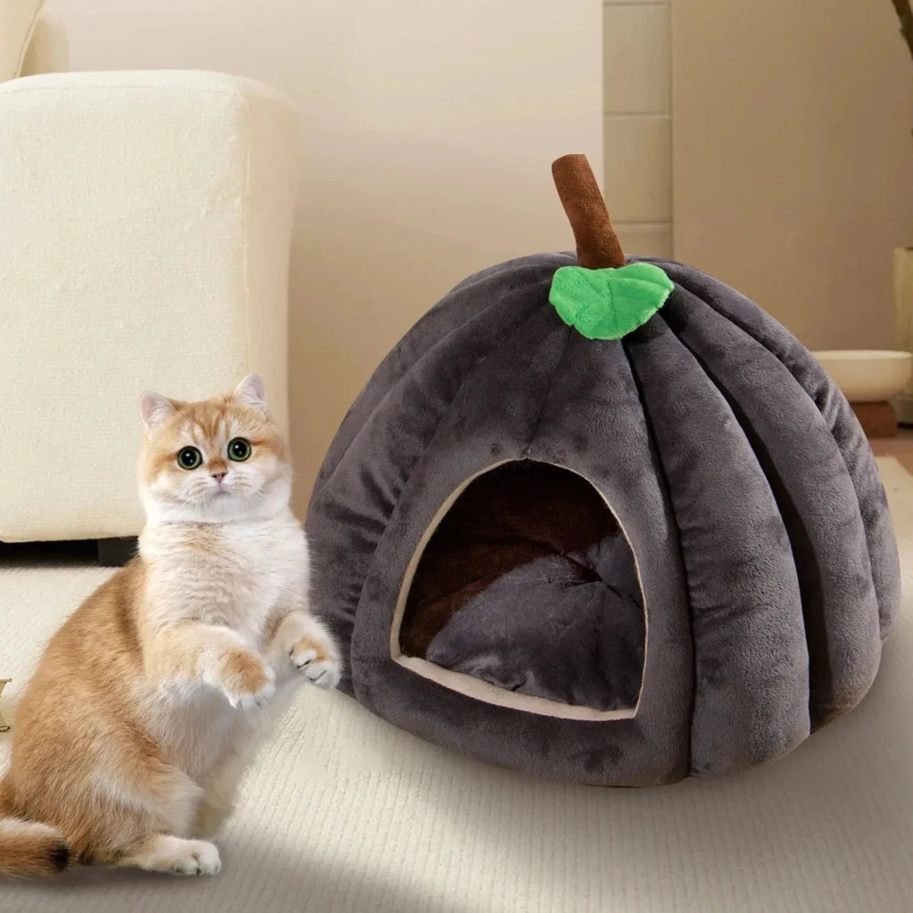 Kattenkussen Pompoen