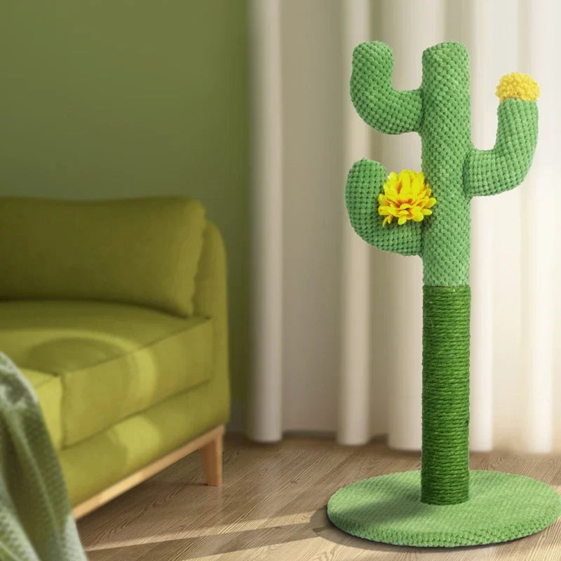 Krabpaal cactus