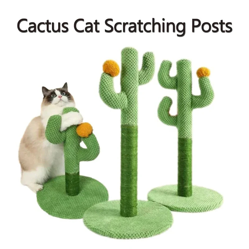 Krabpaal cactus