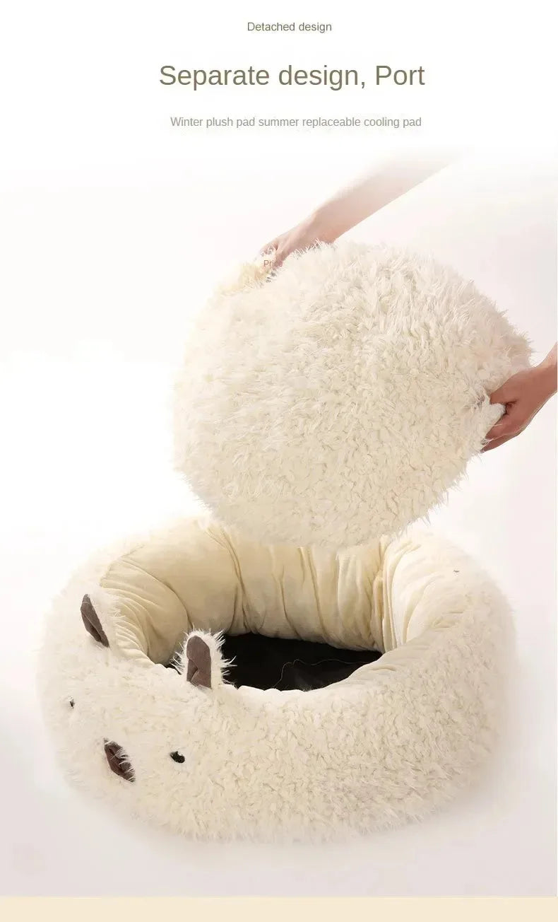 Kattenkussen knuffelbeer