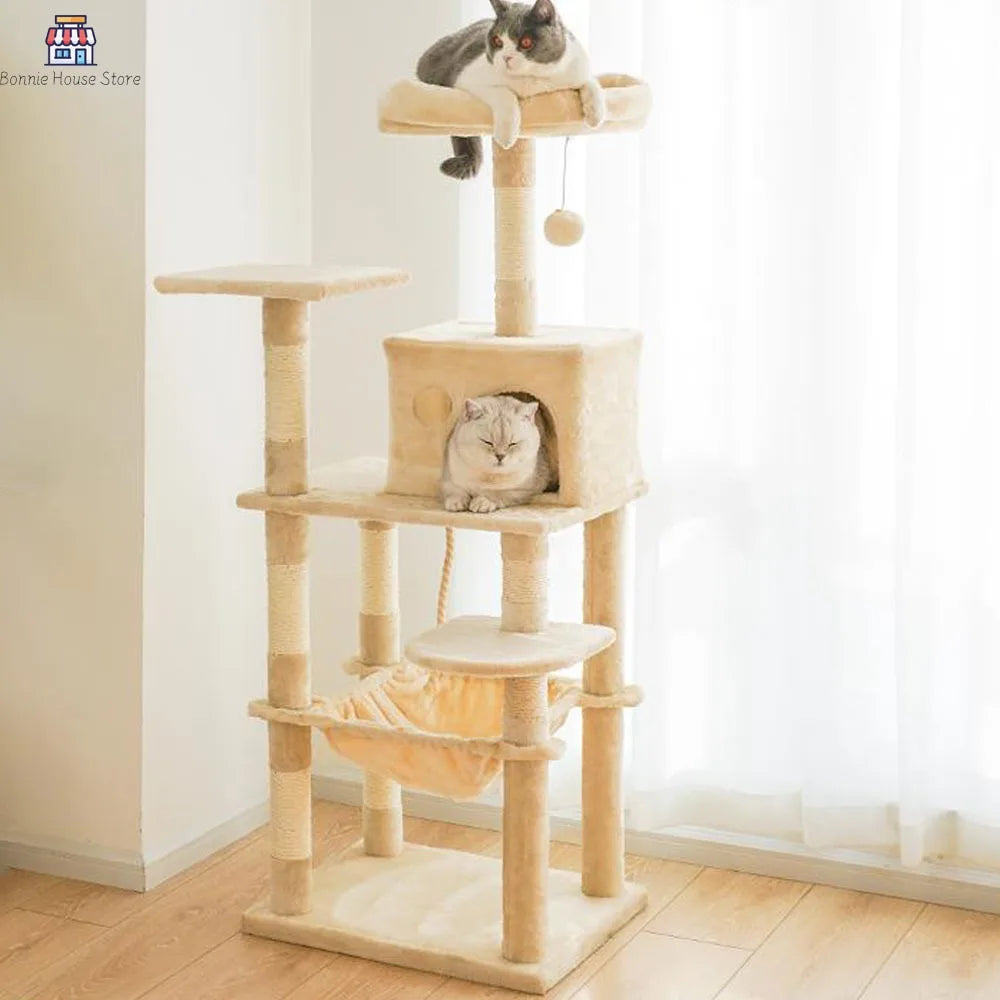 Kattenboom - 4 lagen