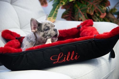 Hondenbed lange wol 30mm