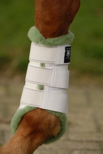 Inlages voor de beenbeschermers