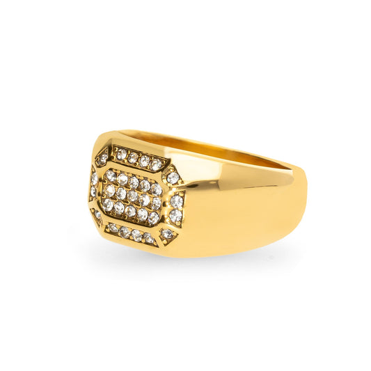 Anura ring goud