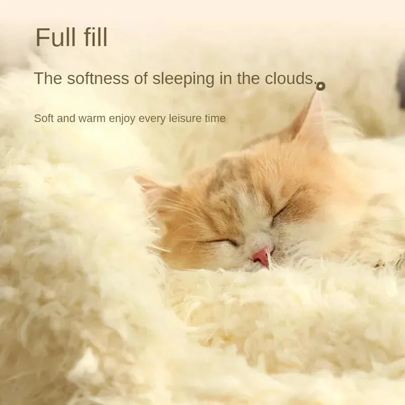 Kattenkussen knuffelbeer