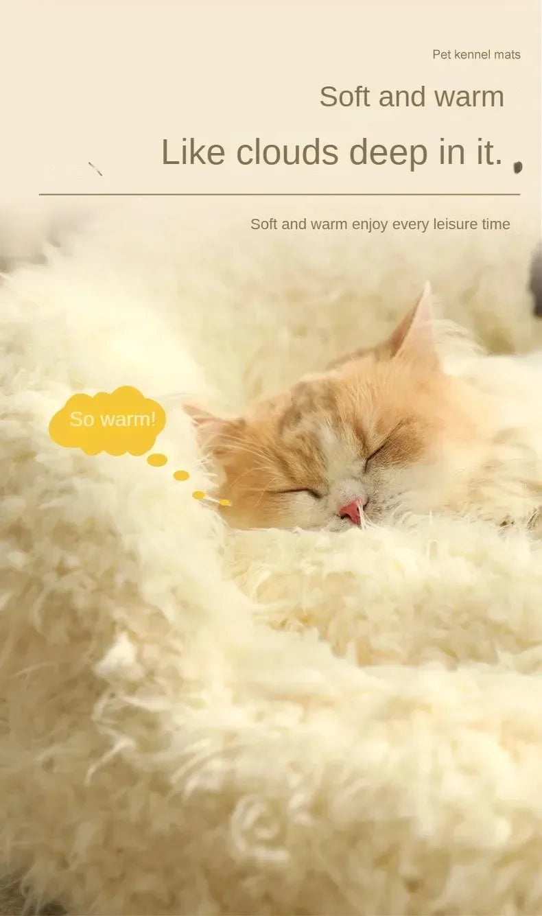 Kattenkussen knuffelbeer