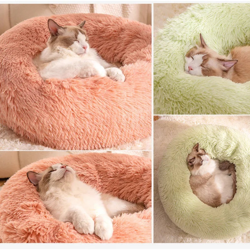 Kattenkussen donut
