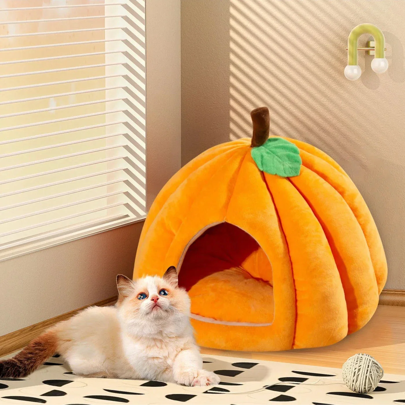 Kattenkussen Pompoen