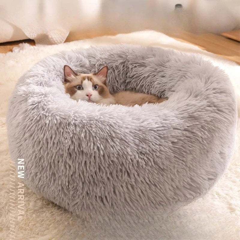 Kattenkussen donut