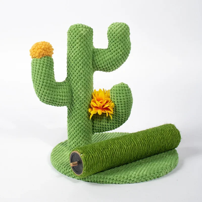 Krabpaal cactus