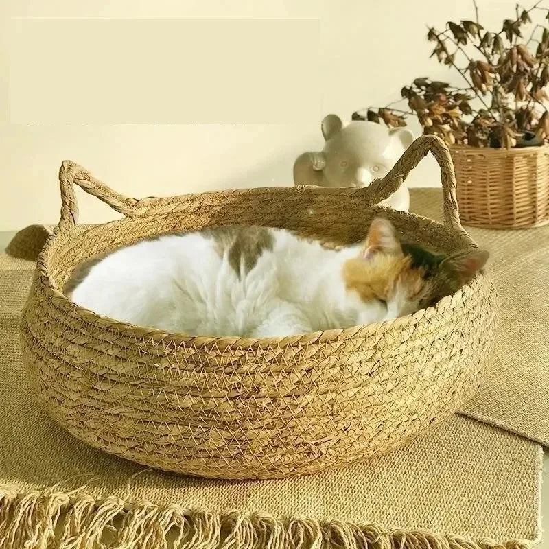 Kattenmand rotan