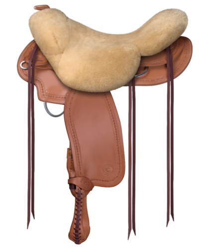 Westerse stoelbeveiliging