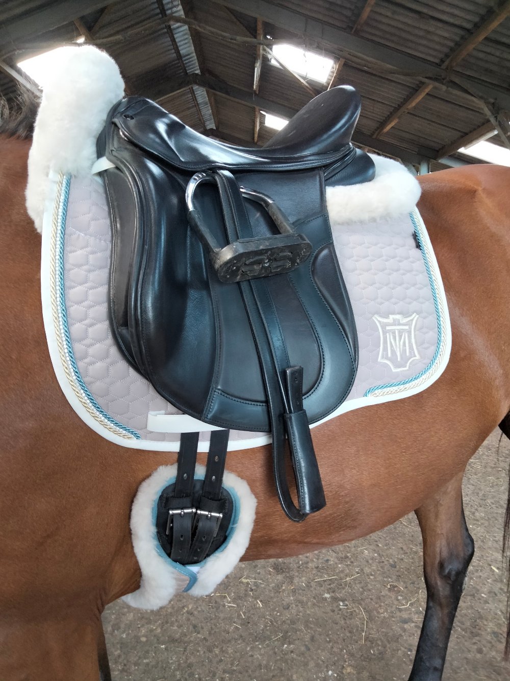 Singelbontje standaard dressuursingel